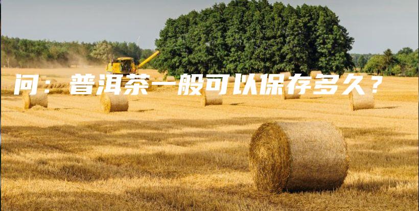 問：普洱茶一般可以保存多久？插圖