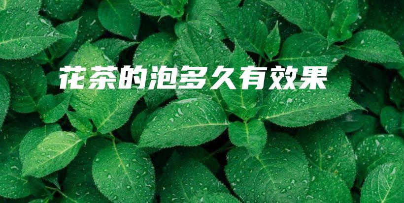 花茶的泡多久有效果插圖