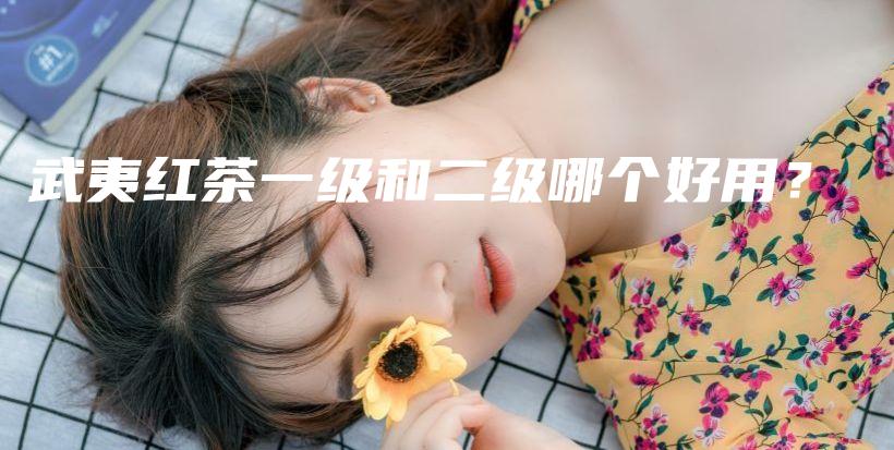 武夷紅茶一級(jí)和二級(jí)哪個(gè)好用？插圖
