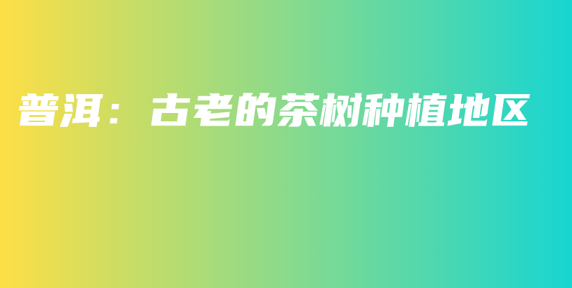 普洱：古老的茶樹種植地區(qū)插圖