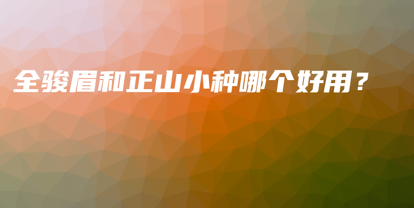 全駿眉和正山小種哪個好用？插圖