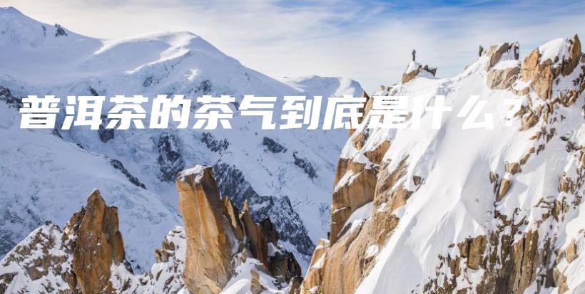 普洱茶的茶氣到底是什么？插圖