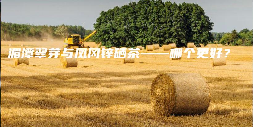 湄潭翠芽與鳳岡鋅硒茶——哪個更好？插圖