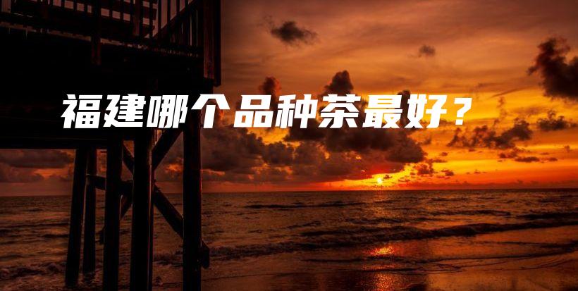 福建哪個品種茶最好？插圖