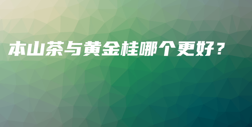 本山茶與黃金桂哪個(gè)更好？插圖