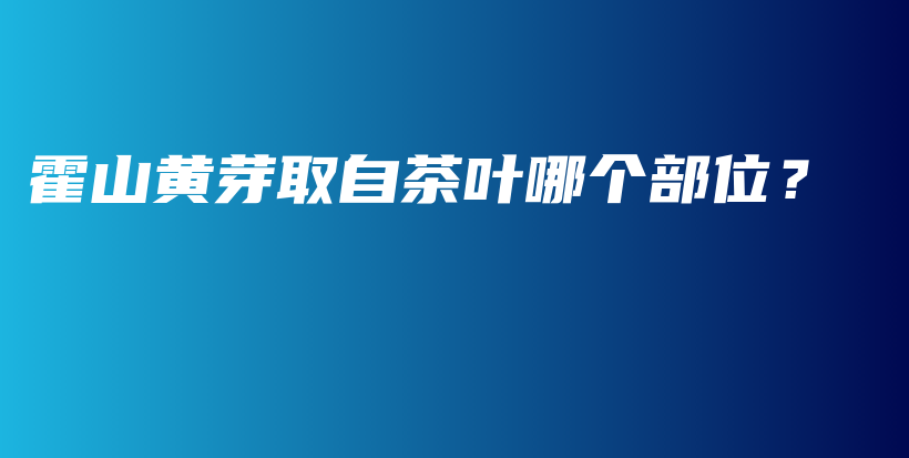 霍山黃芽取自茶葉哪個(gè)部位？插圖