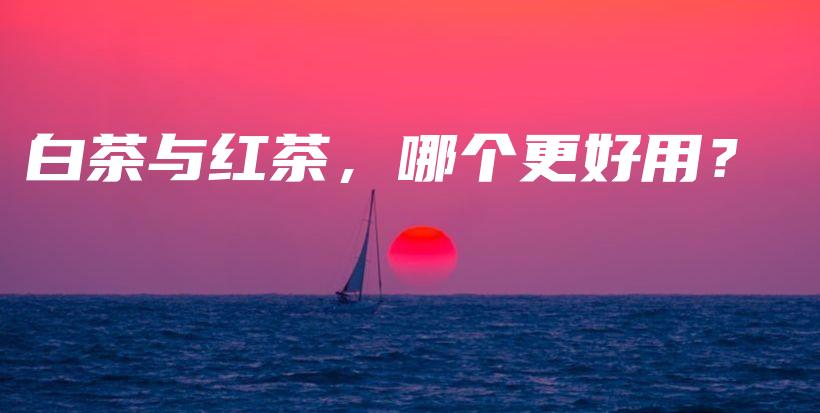 白茶與紅茶，哪個(gè)更好用？插圖
