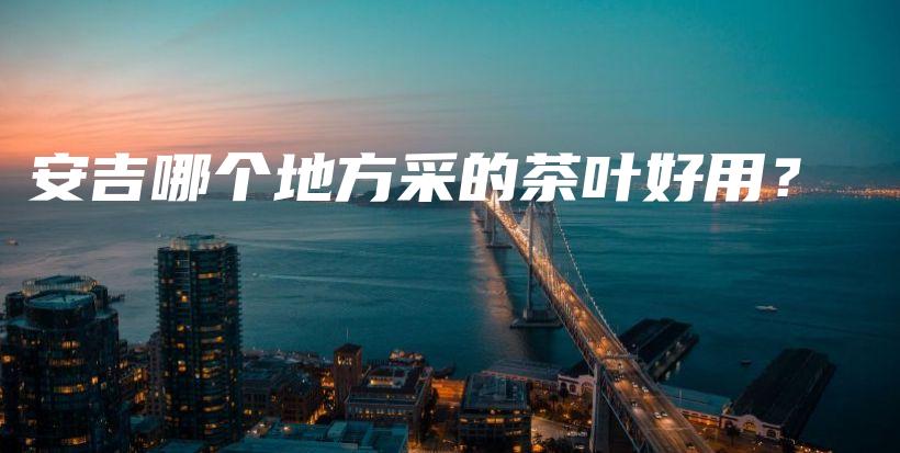 安吉哪個地方采的茶葉好用？插圖