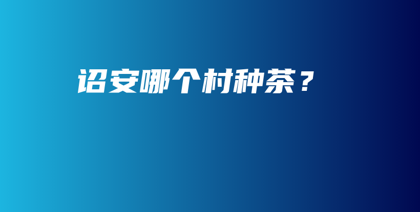 詔安哪個村種茶？插圖