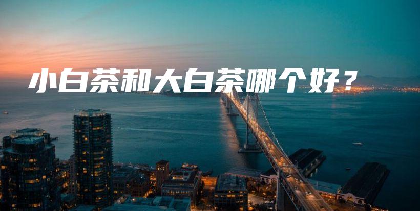 小白茶和大白茶哪個(gè)好？插圖