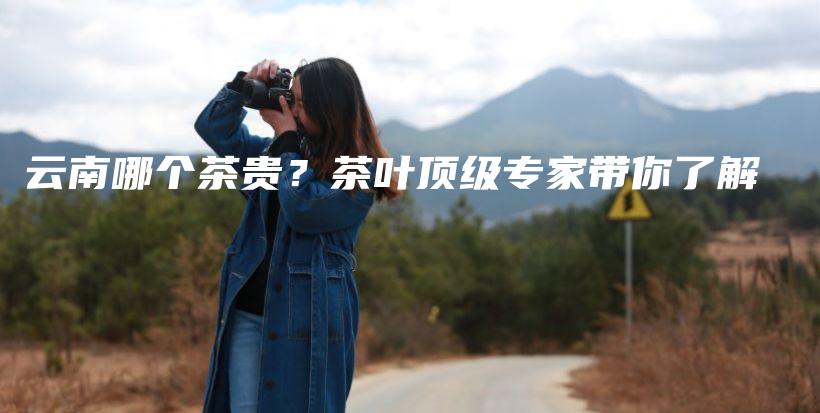 云南哪個(gè)茶貴？茶葉頂級(jí)專家?guī)懔私獠鍒D
