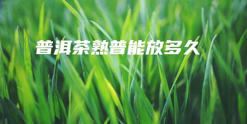 普洱茶熟普能放多久插圖