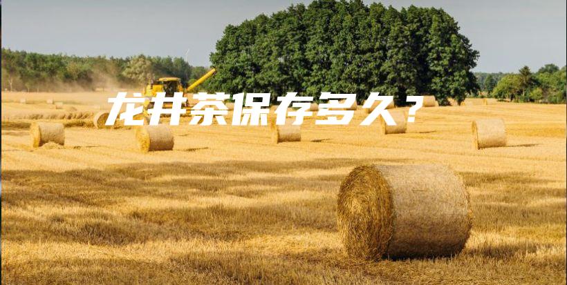 龍井茶保存多久？插圖
