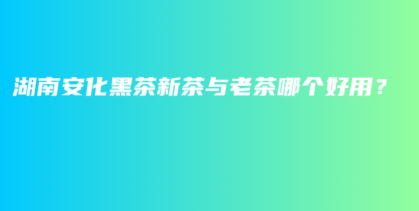 湖南安化黑茶新茶與老茶哪個好用？插圖
