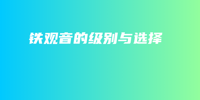 鐵觀音的級(jí)別與選擇插圖