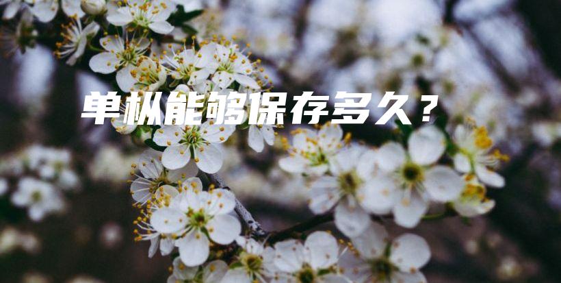 單樅能夠保存多久？插圖