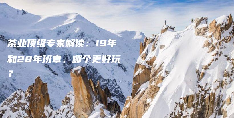 茶業(yè)頂級(jí)專家解讀：19年和28年班章，哪個(gè)更好玩？插圖