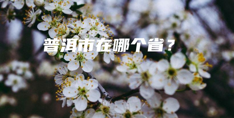 普洱市在哪個?。坎鍒D