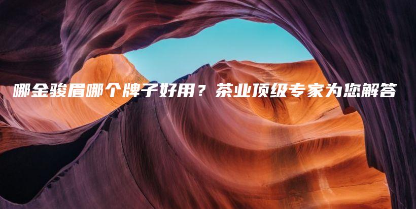 哪金駿眉哪個(gè)牌子好用？茶業(yè)頂級專家為您解答插圖