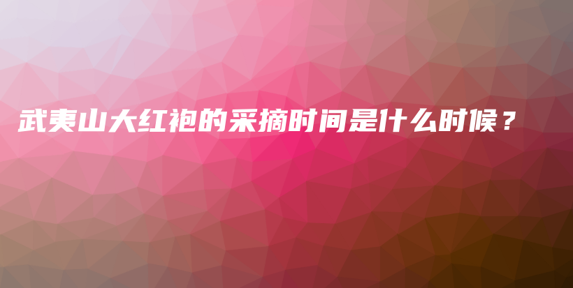 武夷山大紅袍的采摘時間是什么時候？插圖