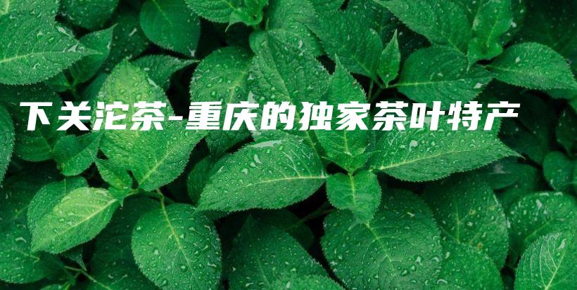 下關(guān)沱茶-重慶的獨家茶葉特產(chǎn)插圖