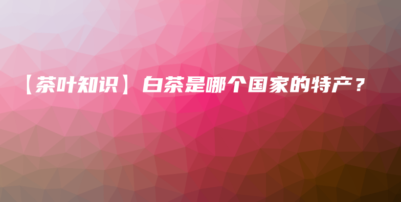 【茶葉知識(shí)】白茶是哪個(gè)國(guó)家的特產(chǎn)？插圖