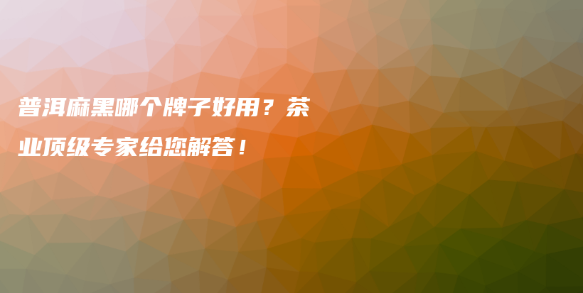普洱麻黑哪個牌子好用？茶業(yè)頂級專家給您解答！插圖