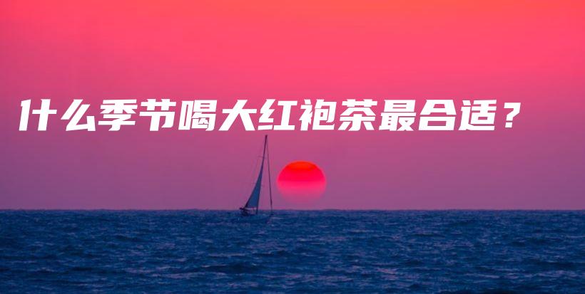 什么季節(jié)喝大紅袍茶最合適？插圖