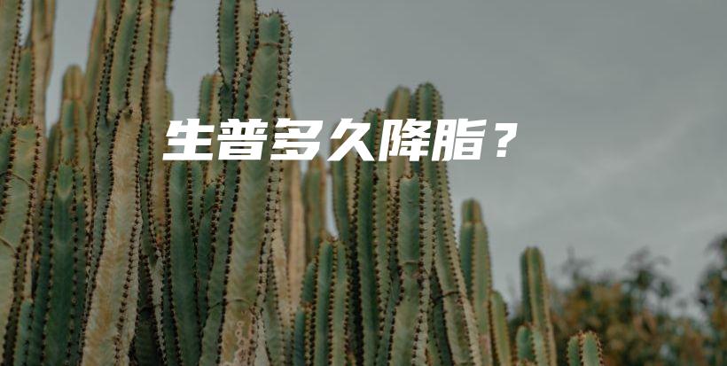 生普多久降脂？插圖