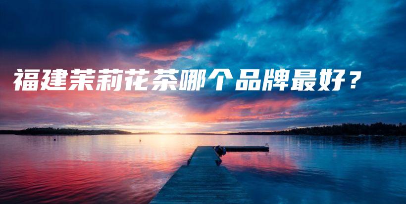 福建茉莉花茶哪個品牌最好？插圖