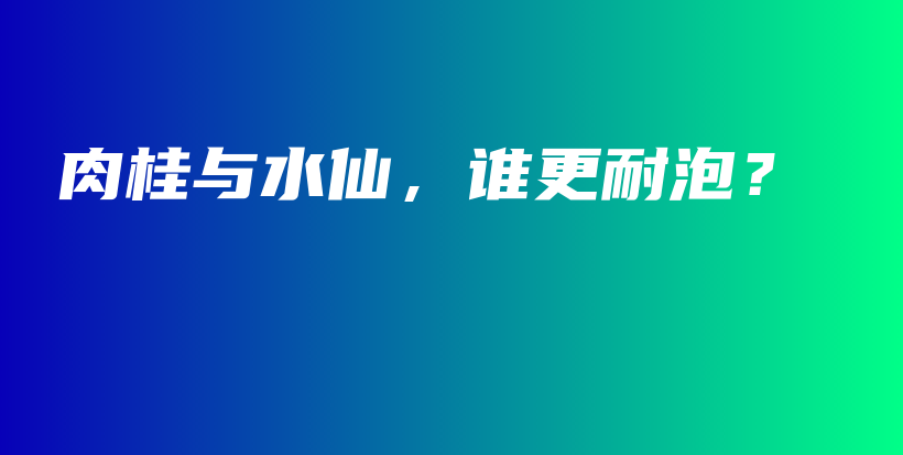 肉桂與水仙，誰更耐泡？插圖