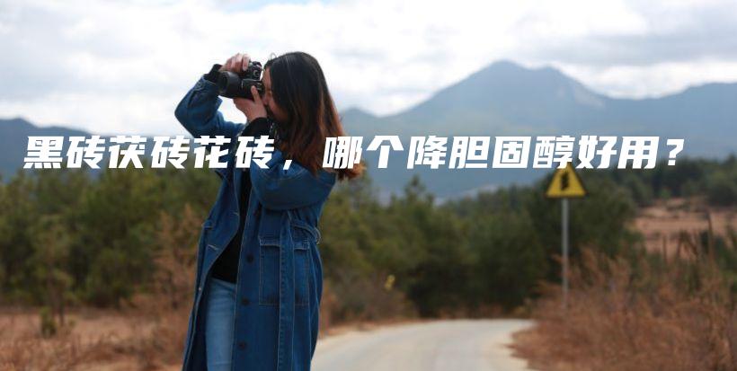 黑磚茯磚花磚，哪個(gè)降膽固醇好用？插圖