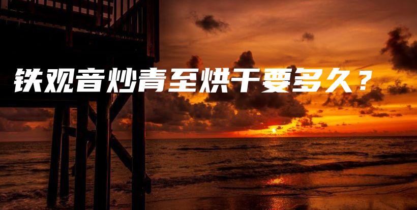 鐵觀音炒青至烘干要多久？插圖