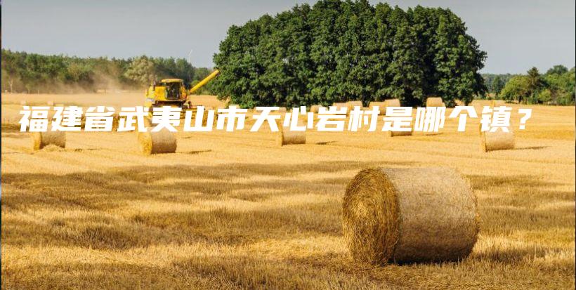 福建省武夷山市天心巖村是哪個(gè)鎮(zhèn)？插圖