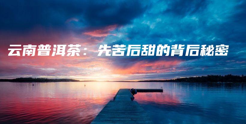 云南普洱茶：先苦后甜的背后秘密插圖