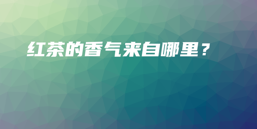 紅茶的香氣來自哪里？插圖