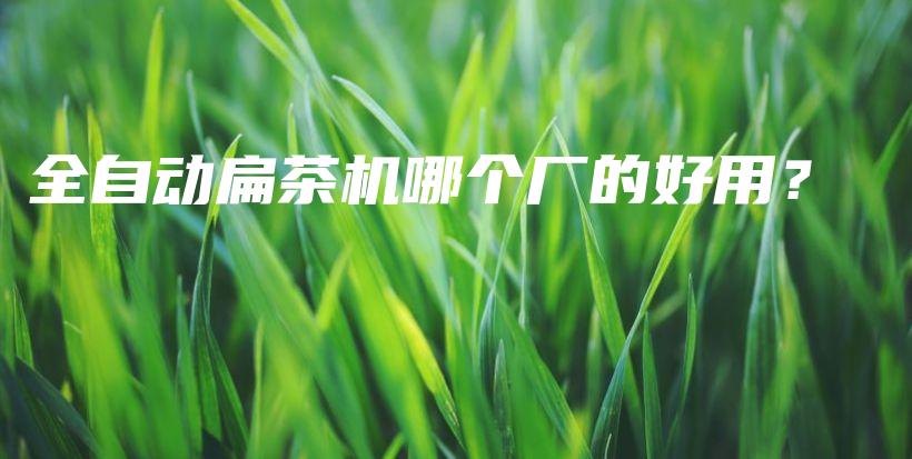 全自動(dòng)扁茶機(jī)哪個(gè)廠的好用？插圖