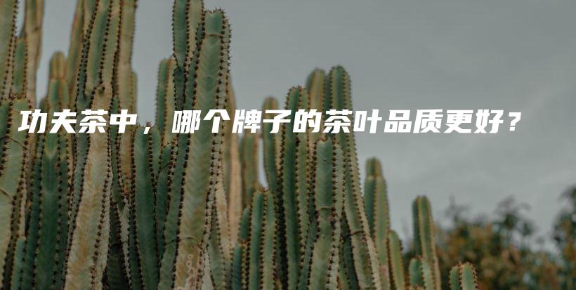 功夫茶中，哪個(gè)牌子的茶葉品質(zhì)更好？插圖