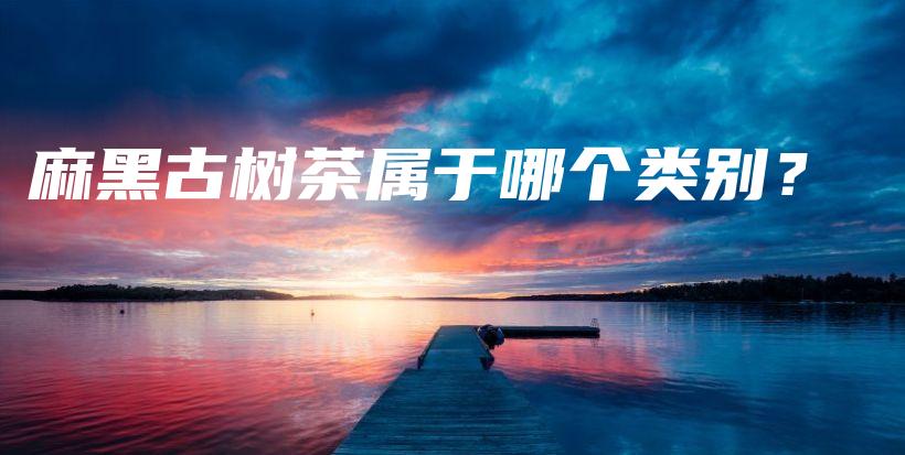 麻黑古樹茶屬于哪個(gè)類別？插圖