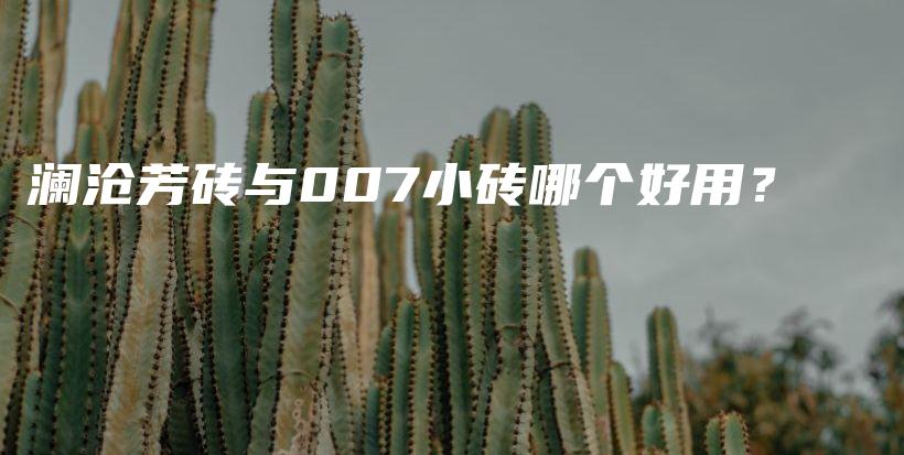 瀾滄芳磚與007小磚哪個(gè)好用？插圖