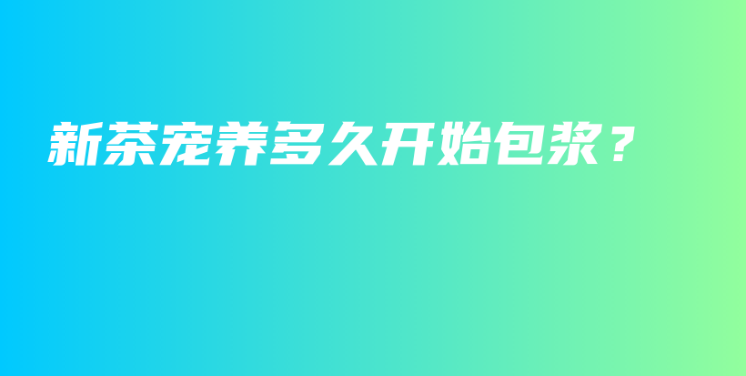 新茶寵養(yǎng)多久開始包漿？插圖