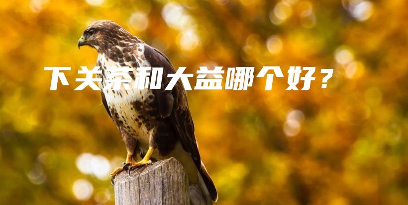 下關茶和大益哪個好？插圖