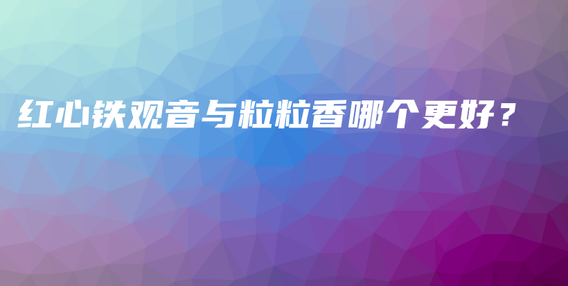 紅心鐵觀音與粒粒香哪個更好？插圖