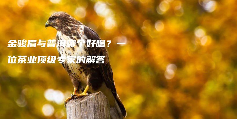 金駿眉與普洱哪個好喝？一位茶業(yè)頂級專家的解答插圖
