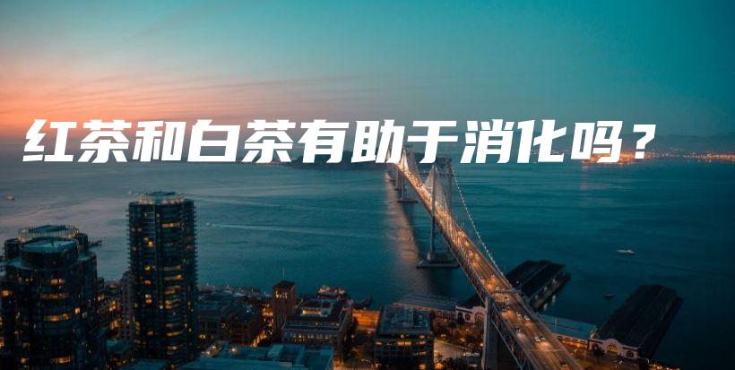 紅茶和白茶有助于消化嗎？插圖