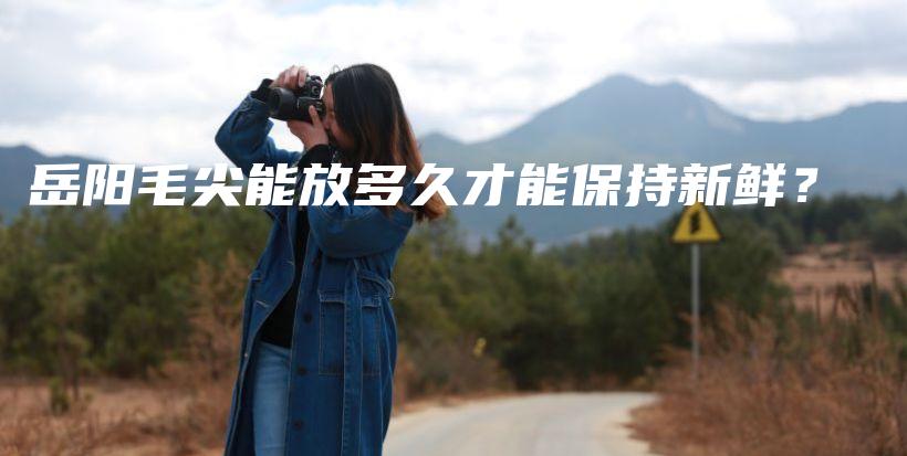 岳陽(yáng)毛尖能放多久才能保持新鮮？插圖