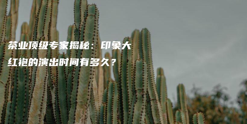 茶業(yè)頂級(jí)專家揭秘：印象大紅袍的演出時(shí)間有多久？插圖