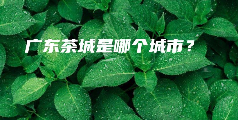 廣東茶城是哪個城市？插圖