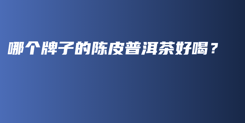 哪個(gè)牌子的陳皮普洱茶好喝？插圖