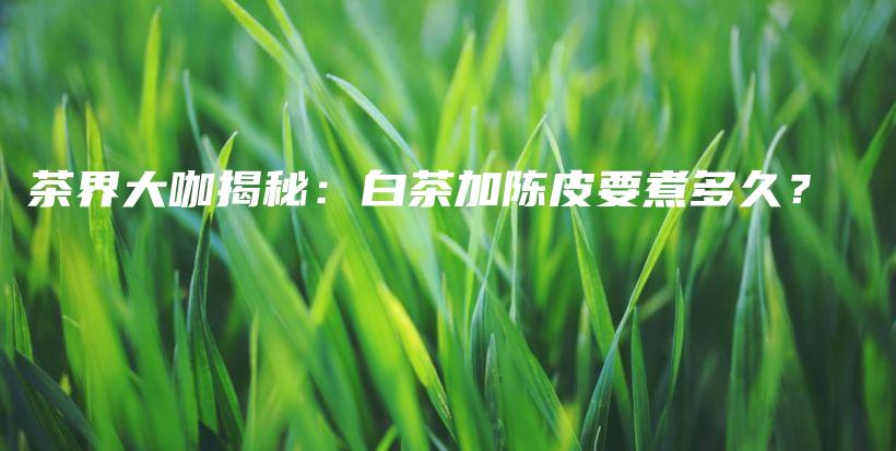 茶界大咖揭秘：白茶加陳皮要煮多久？插圖